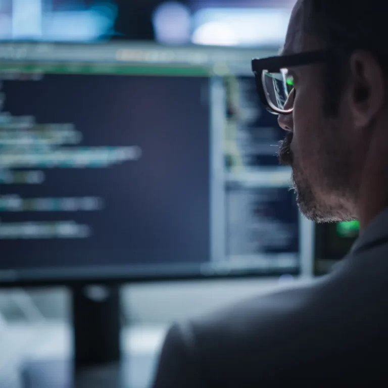 IT Security Specialist Checking Code